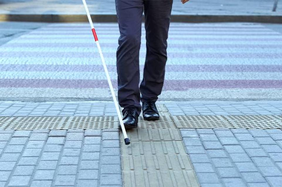 Hoje é o Dia Nacional de Luta da Pessoa com Deficiência